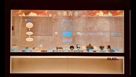 WHAT ARE THE MAIN DIFFERENCES BETWEEN LCD OR OLED